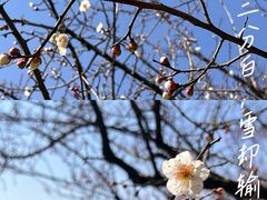 -花开海上生态园