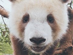 -西安大唐西市博物馆