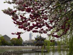 -南通濠河风景名胜区