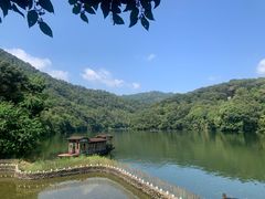 -天台国家森林公园水上茶乡九鹏溪