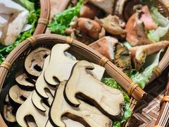 -滇野云南野生菌餐厅(陕西南路店)