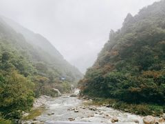 -沣峪口