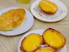 -洪馨椰子
