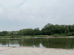 -永定河休闲森林公园