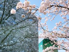 -龙美术馆(西岸馆)