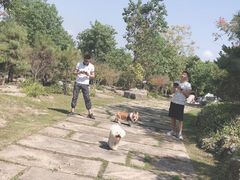 -上海海湾国家森林公园