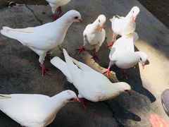 -中国人民抗日战争胜利受降纪念馆