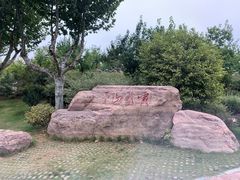 -郑州植物园