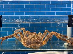 -茉酸奶(高科山姆店)