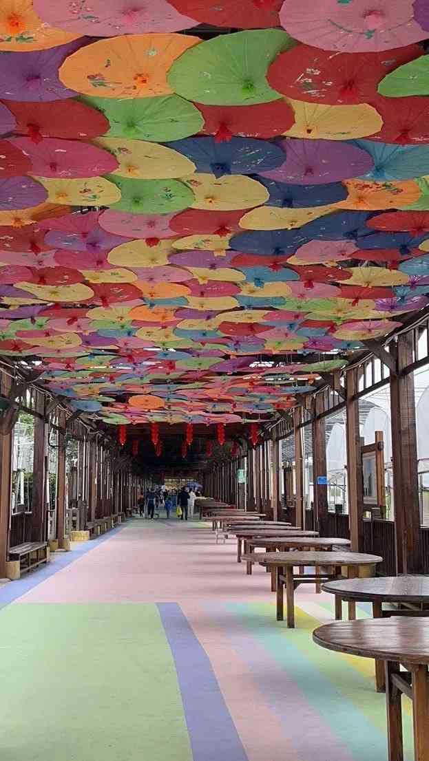 "-大众点评移动版