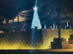 -海南清水湾莱佛士酒店