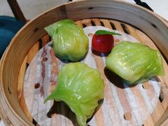 -点都德·毕德寮