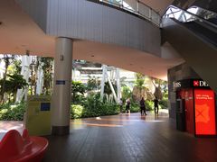 -新加坡摩天观景轮