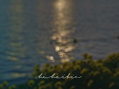 -天鹅湖体育公园