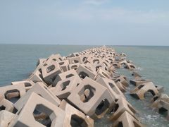 -东疆建设开发纪念公园