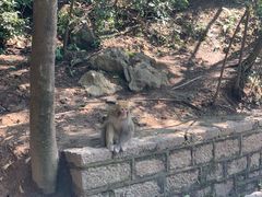 -黔灵山公园