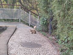 -燕晗山郊野公园