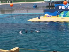 -秦皇岛乐岛海洋王国