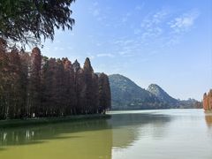 -星湖旅游景区七星岩