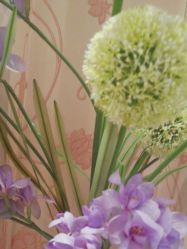 -本真坊美容美体沙龙