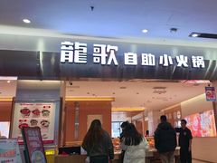 -龍歌自助小火锅(市南金茂湾店)