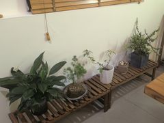 -小茶闲舍·观景商务茶馆(广州塔店)