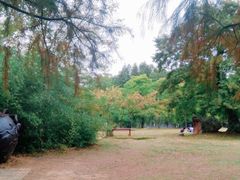 -东湖落雁景区