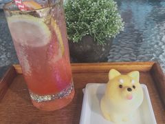 -柴犬高等学院·狗咖·柴犬售卖·宠物训练