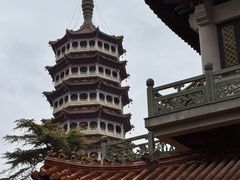 -高旻寺