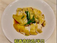 -稻香酒家·35年老字号(侨光店)