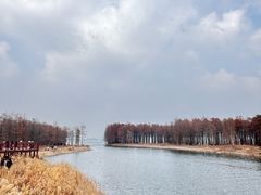 -四明湖
