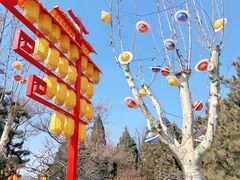 -青龙湖公园