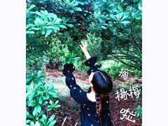 -楠溪江风景名胜区