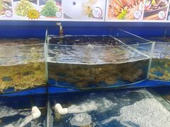 -天隆酒店·本地海鲜鲁菜(烟台大学店)