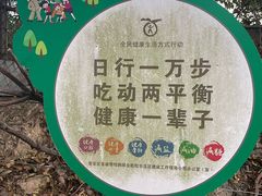 -金鸡山公园