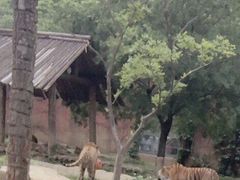 -无锡动物园·太湖欢乐园