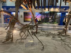 -国家自然博物馆