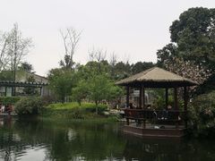 -成飞公园