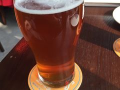-Boxing Cat Brewery拳击猫精酿啤酒馆(永福店)
