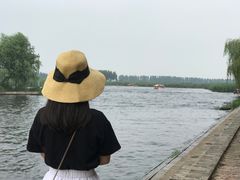 -白洋淀景区