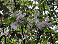 -白塘生态植物园