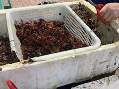 -渔人湾码头海鲜市场负二楼