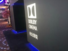 -万达影城(汉街万达广场IMAX店)