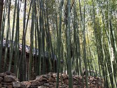 -竹泉村旅游度假区