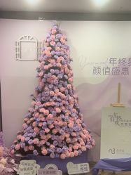 -东森自然美.INDIBA.美容SPA.皮肤管理
