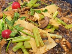 -老板恋上鱼(恒隆广场店)