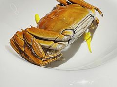 大闸蟹-蟹榭(静安寺晶品商场店)