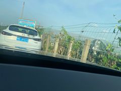 -鲨鱼皮汽车凹陷玻璃修复(静安店)