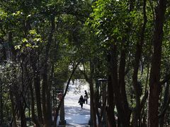 -赭山公园