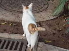 -晓港公园